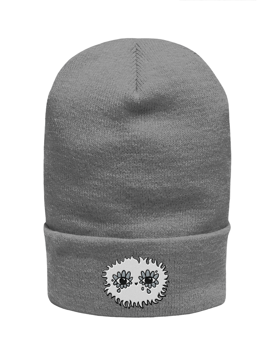 WLS Cuffed Beanie product image (1)