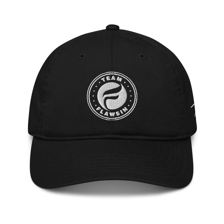 Team Flawsin Econscious Organic Dad Hat product image (1)