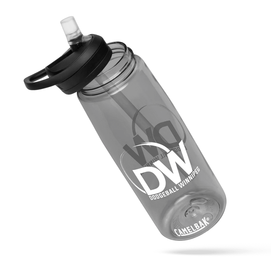 Dodgeball Winnipeg Water Bottle product image (6)