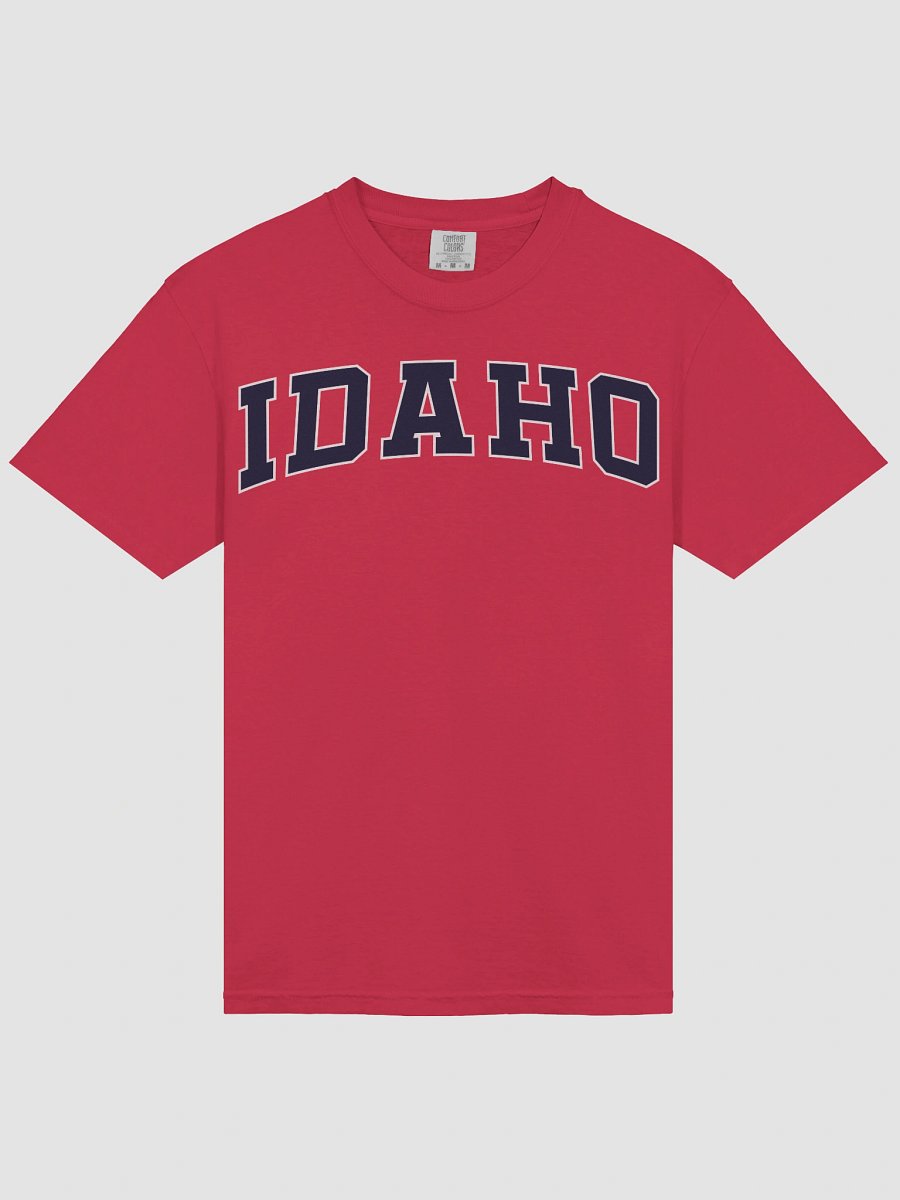 Idaho Vintage Stylish Unisex Garment-Dyed T-shirt product image (4)