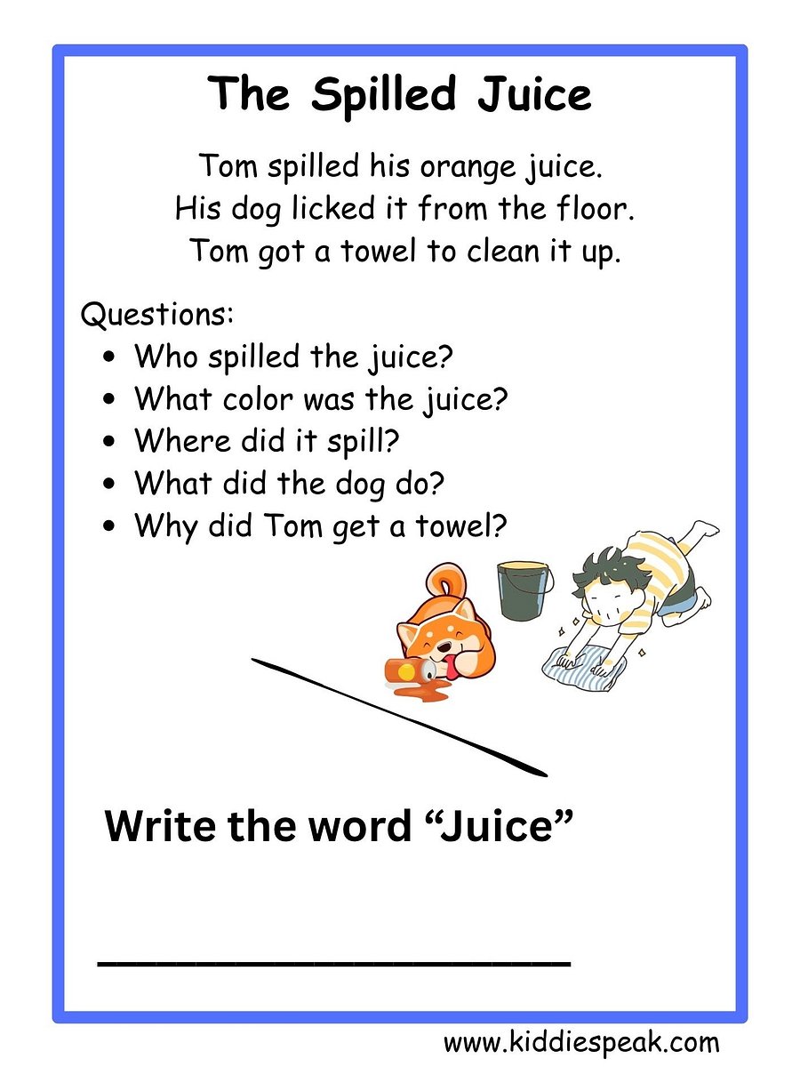 WH-Questions Worksheets product image (3)