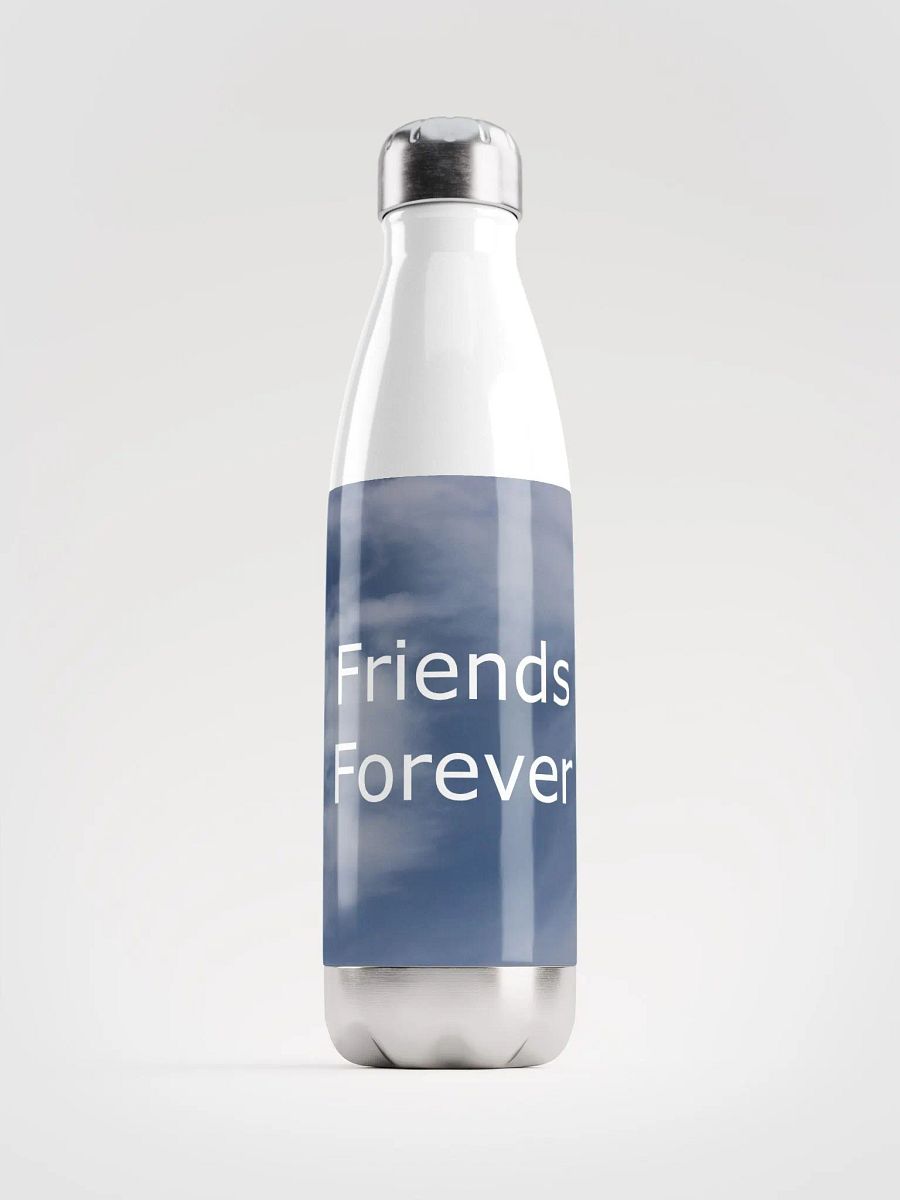Friends Forever Water Bottle product image (1)