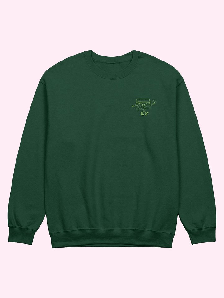 Mixie Embroidered Sweatshirt // Green product image (1)