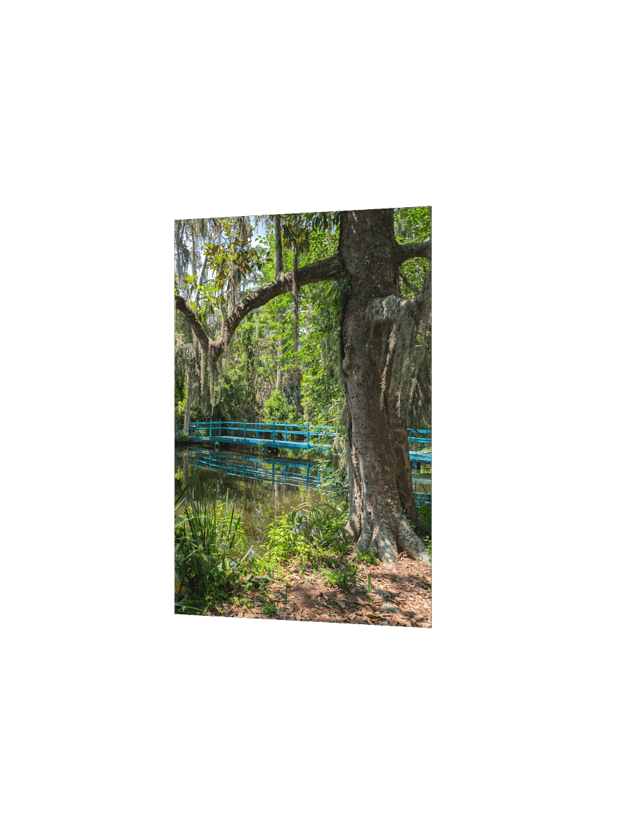 Magnolia's Green Bridge Poster product image (15)