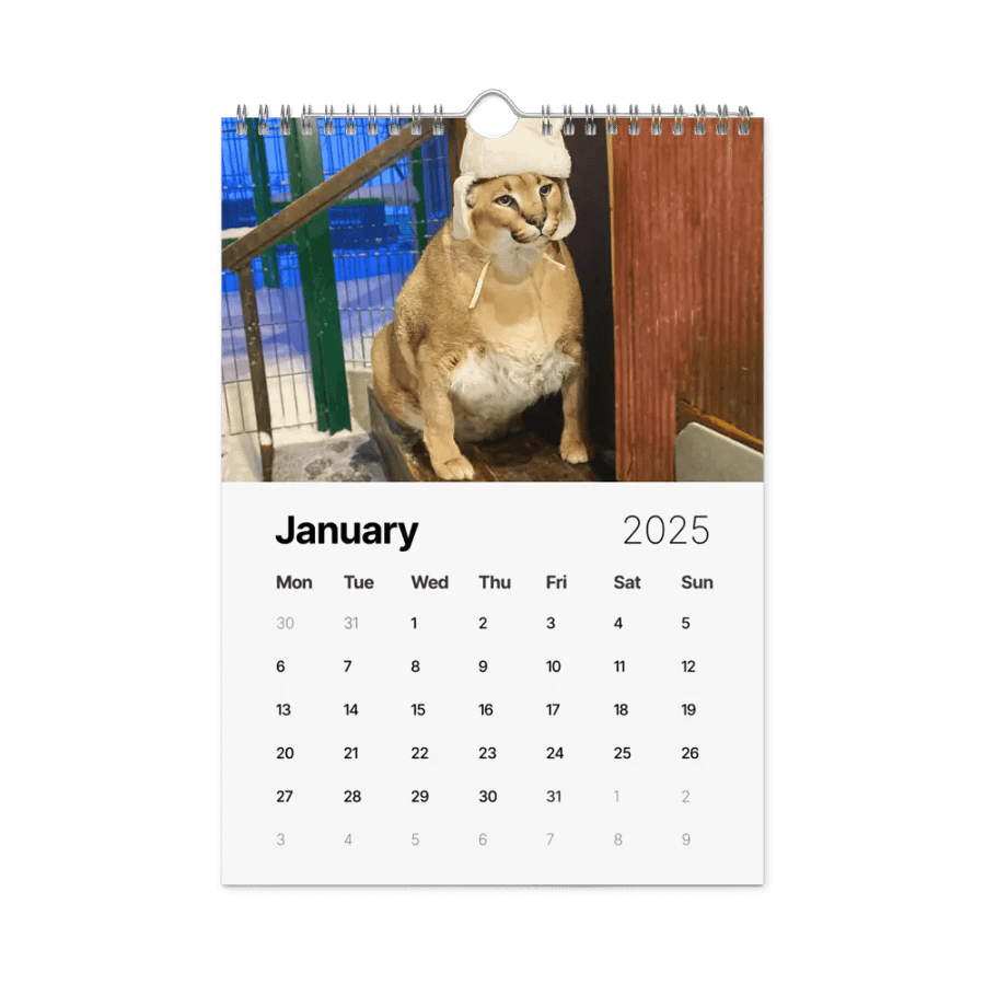 FLOPPA CALENDAR FOR 2025 product image (7)