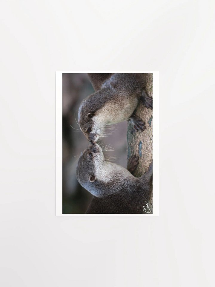 Otters Kiss - Print product image (1)