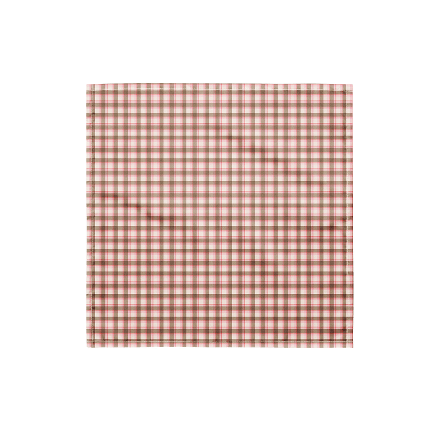 Prairie Check Bandana product image (1)