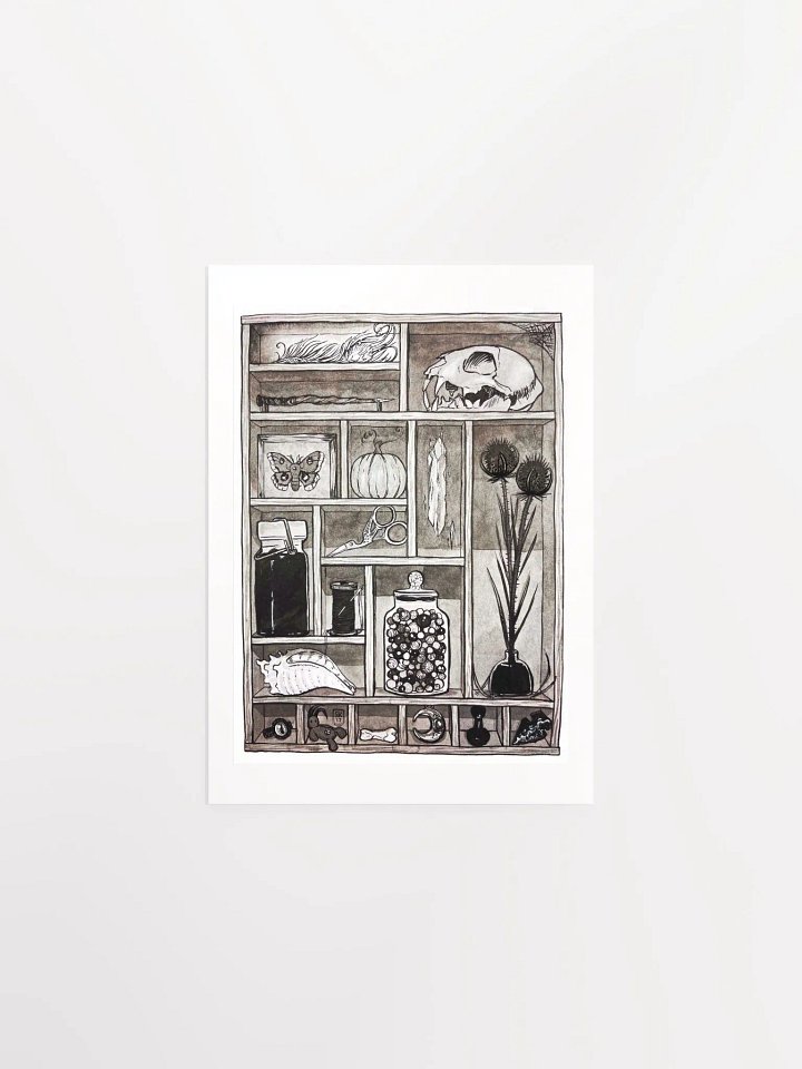 Cabinet of Curiosities Art Print product image (1)