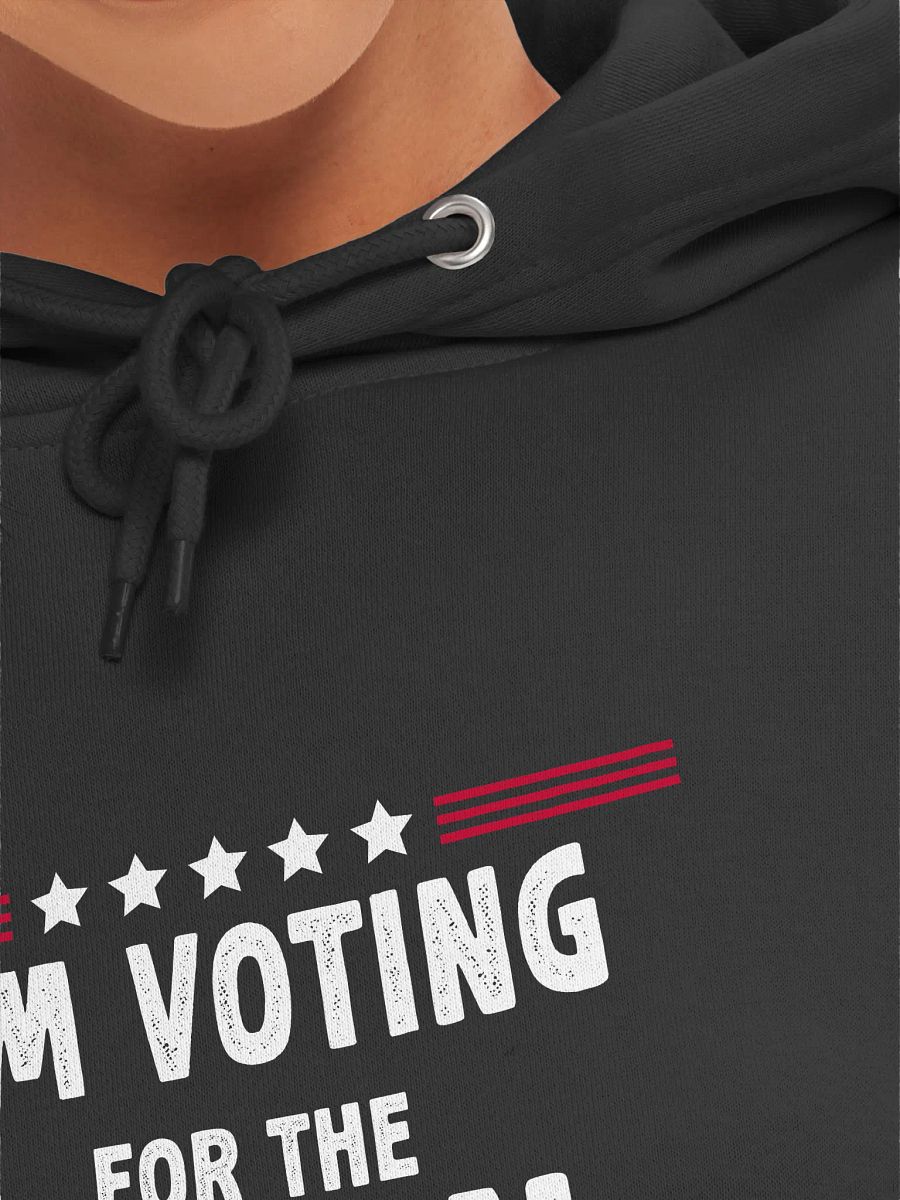 I'm Voting For The Felon And HillBilly Hoodie | Funny Sarcastic Politics Hoodie product image (4)