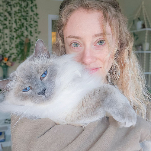 I swear he loves me lol

🏷 #cat #cats #balinese #balinesecat #selfie #curls #blueeyes #twitch #twitchtv #twitchstreamer #game...