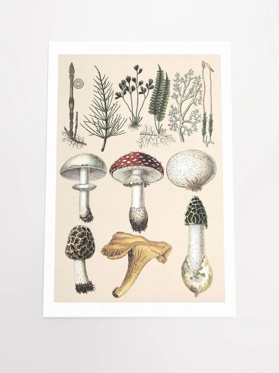 Botanical Wonderland Matte Poster product image (1)