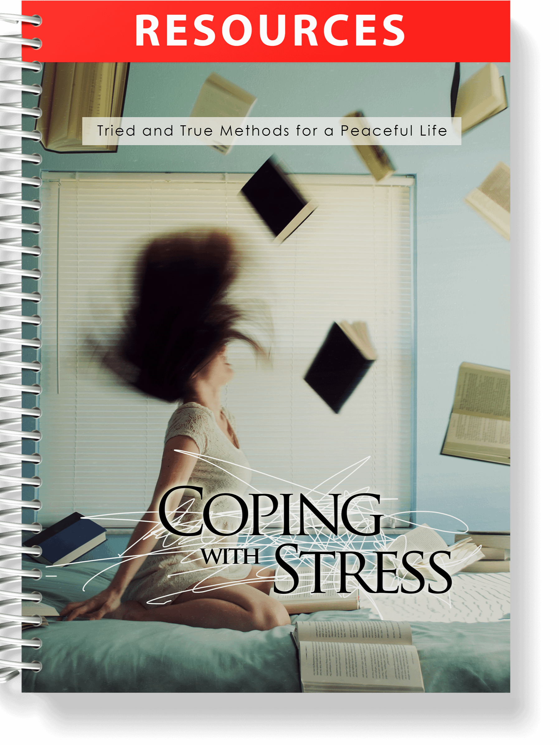Coping With Stress eBook product image (5)