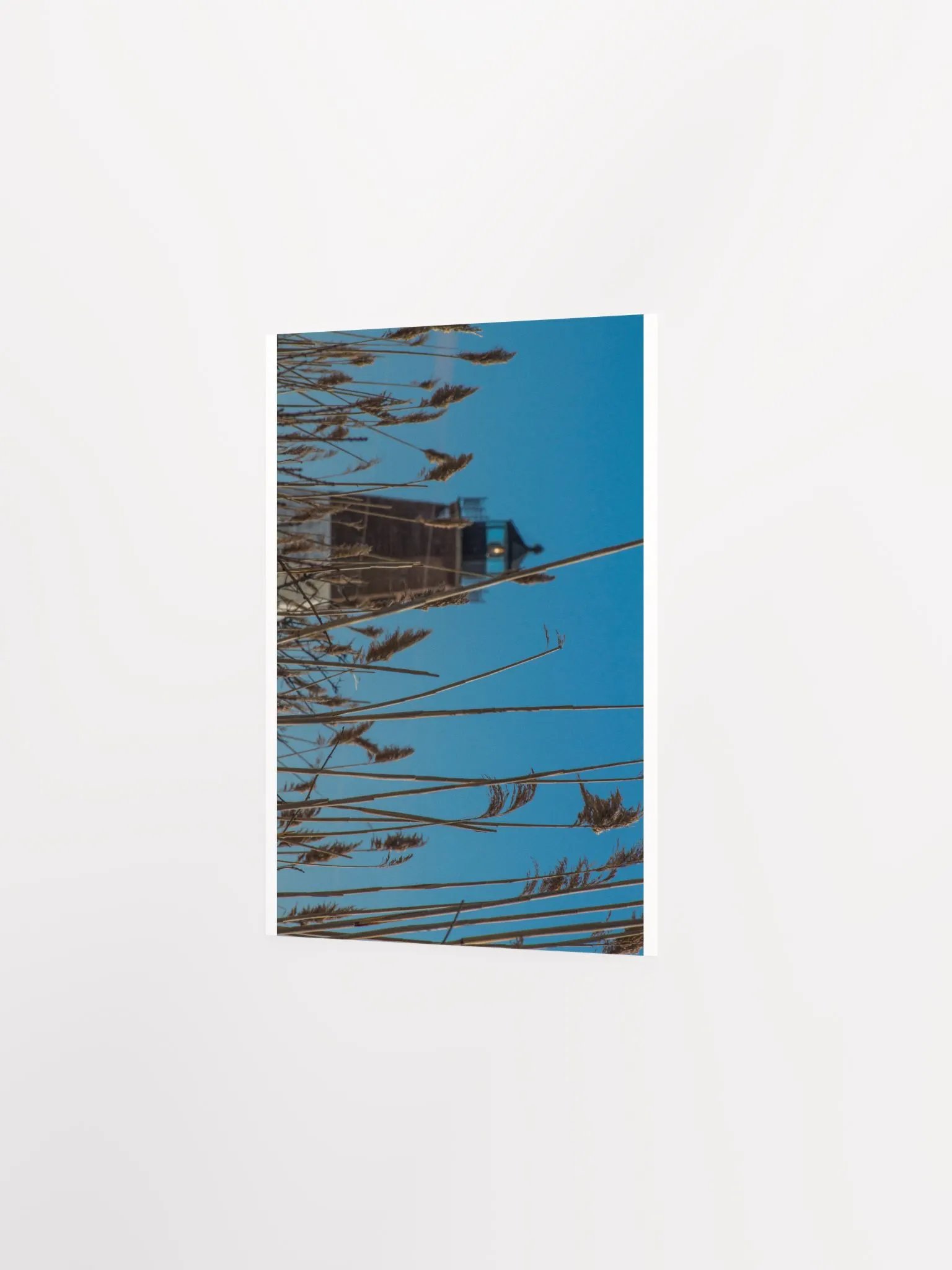 Lighthouse and Reeds product image (3)