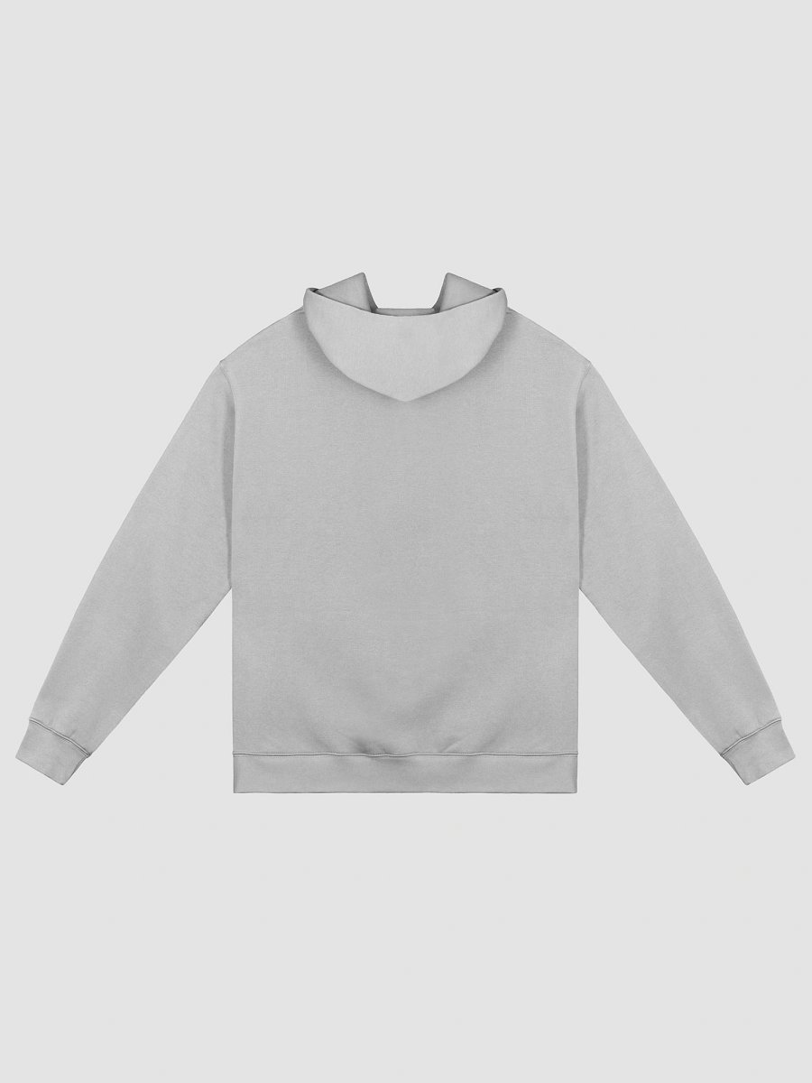 Aims Hoodie product image (2)