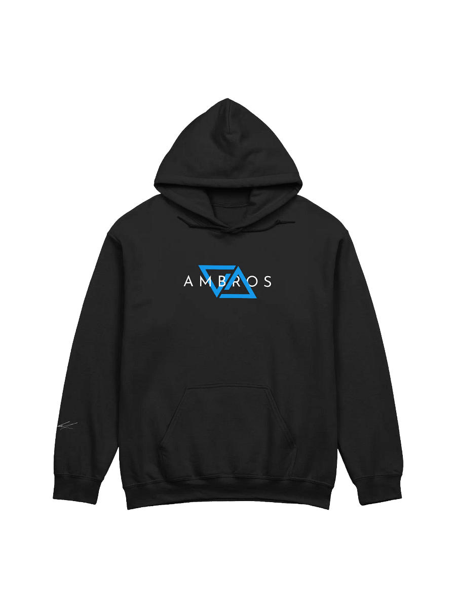The Statement Hoodie product image (1)