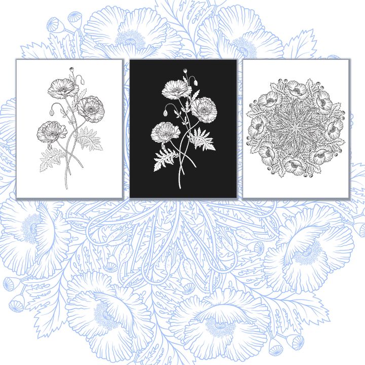 Poppy Coloring Pages, Hand Drawn, Set of 3 product image (2)