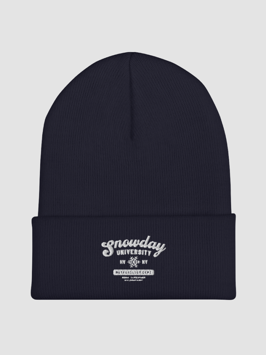 Snowday University beanie product image (1)