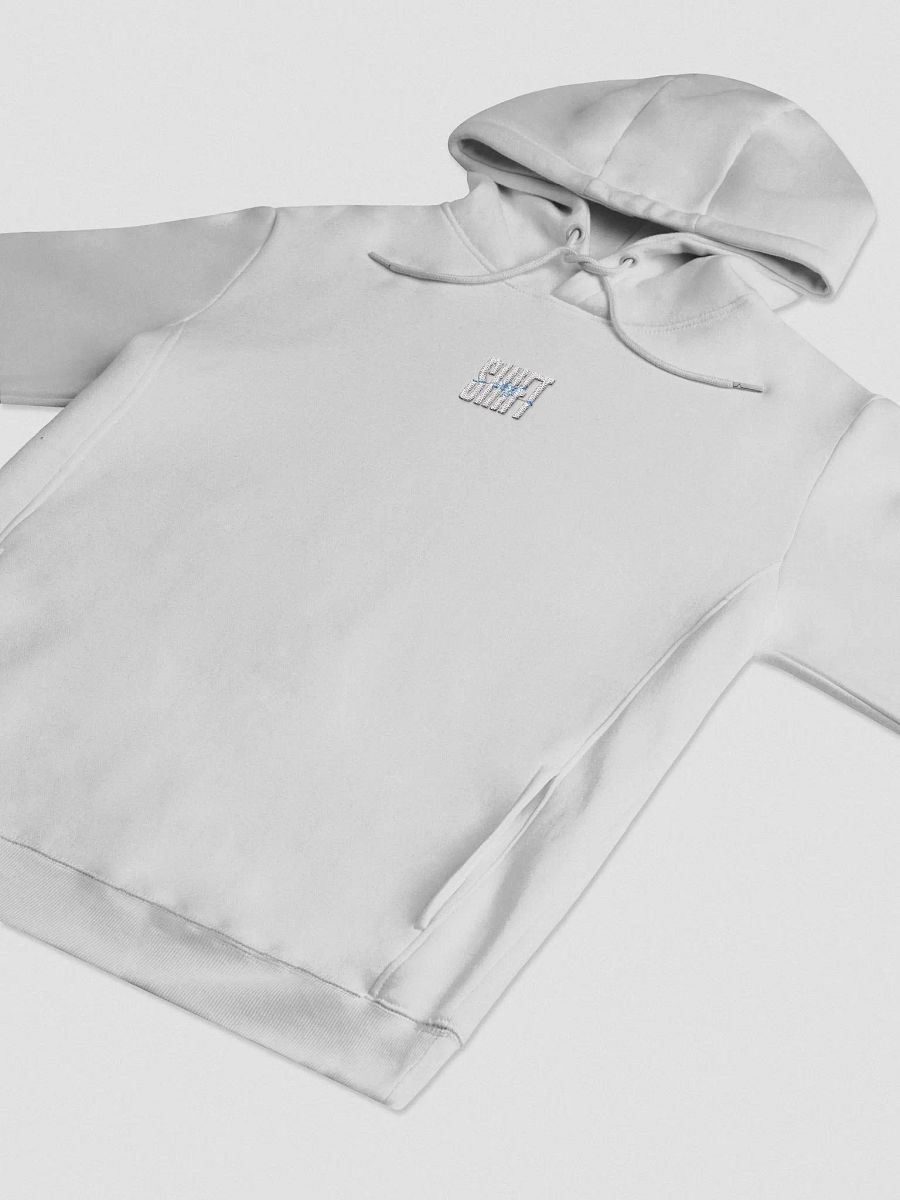 INITIATION HOODIE — GREY product image (3)