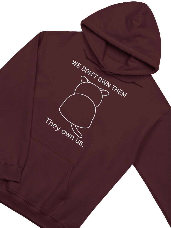 Cats Own Poeple - Unisex Adult Hoodie product image (16)