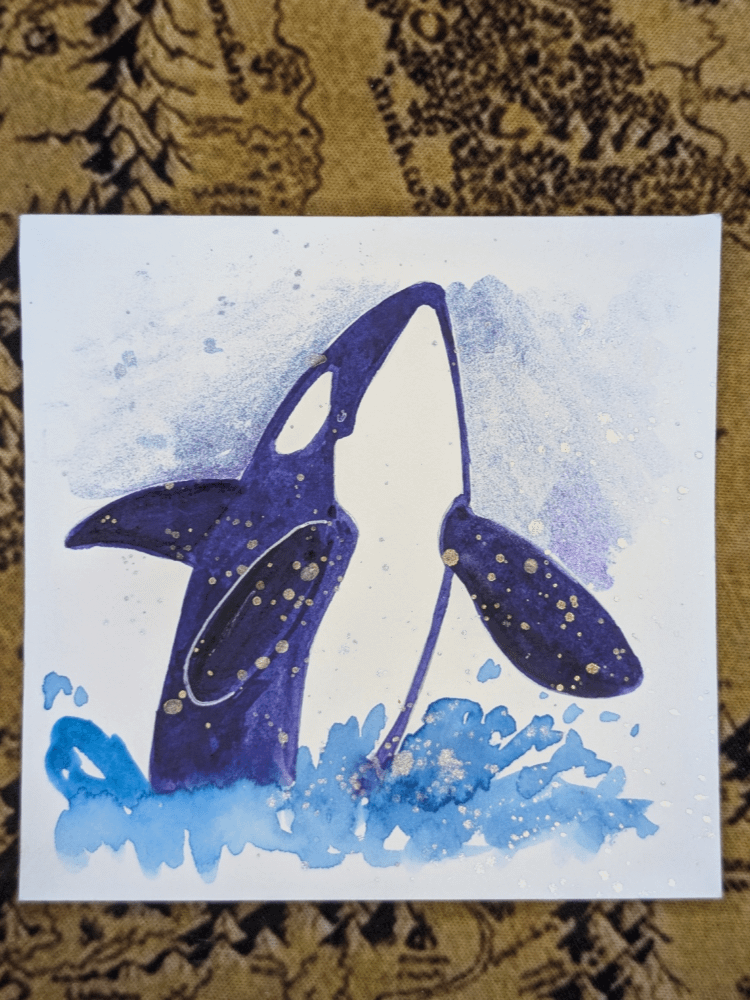 Orca Splash product image (1)