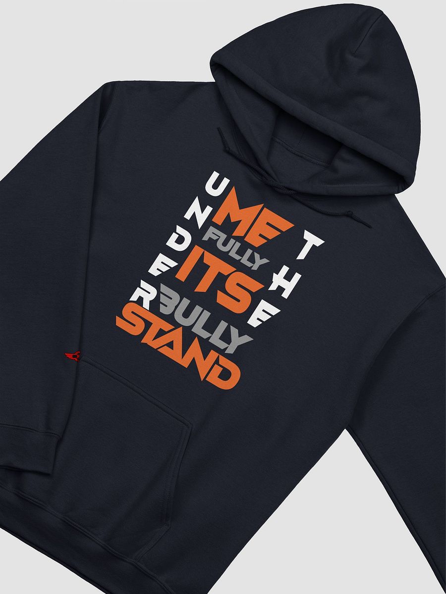 UNDERSTAND FULLY (HOODIE ) LD product image (3)