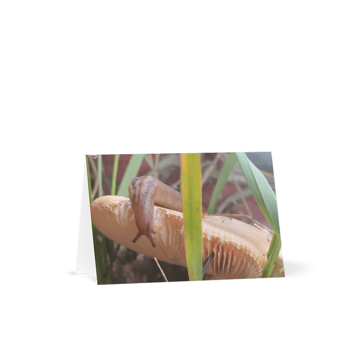 Mushroom Magic Greeting Card product image (1)