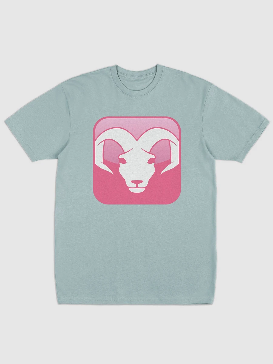 ARIES T-shirt product image (1)