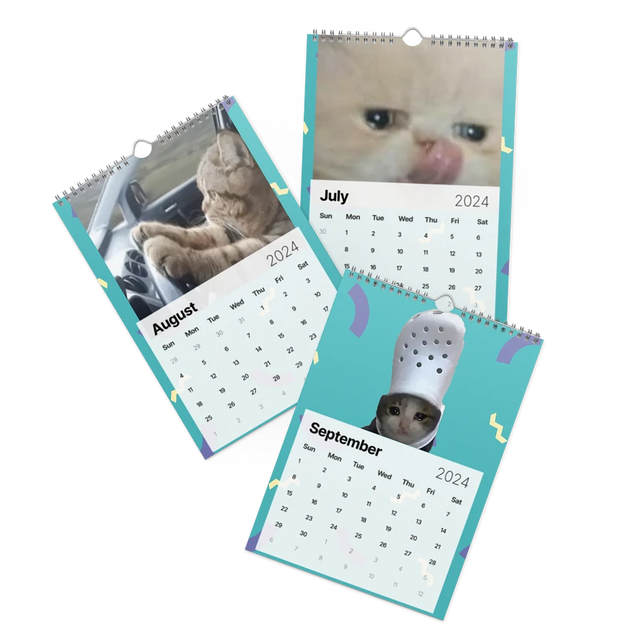 Wall Calendar (2024): Meme Cats product image (11)