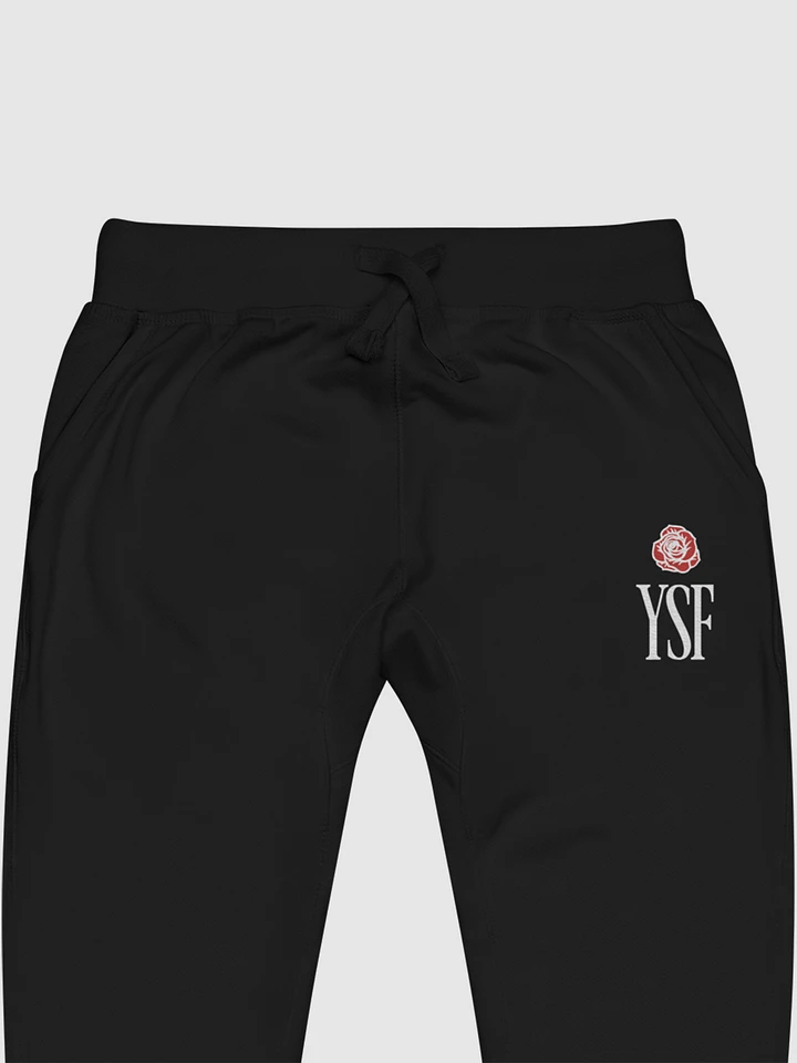 YSF Embroidered Sweatpants product image (2)