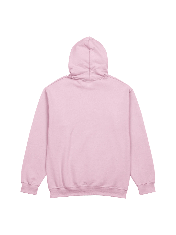 Social FD Hoodie product image (14)