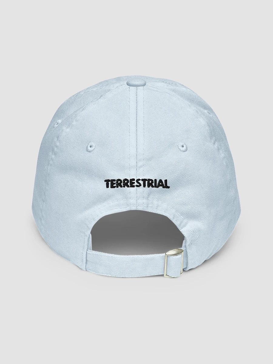 LIMITED EDITION - Grow Positivity Pastel Hat product image (5)