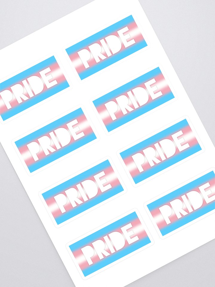 Trans Pride On Display - Stickers product image (1)