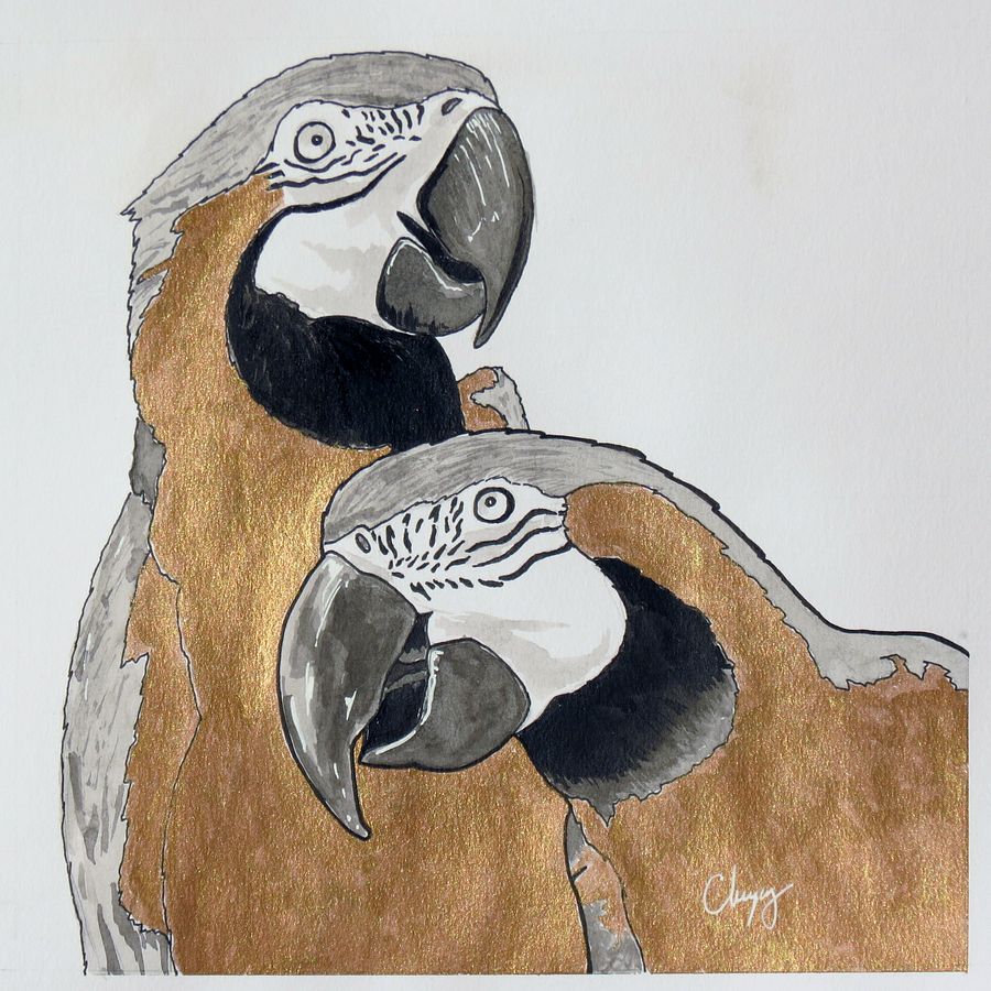Parrots - Original Drawing product image (2)