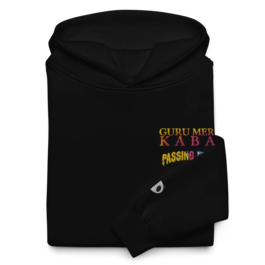 PassingFist Embroidered Hoodie product image (8)