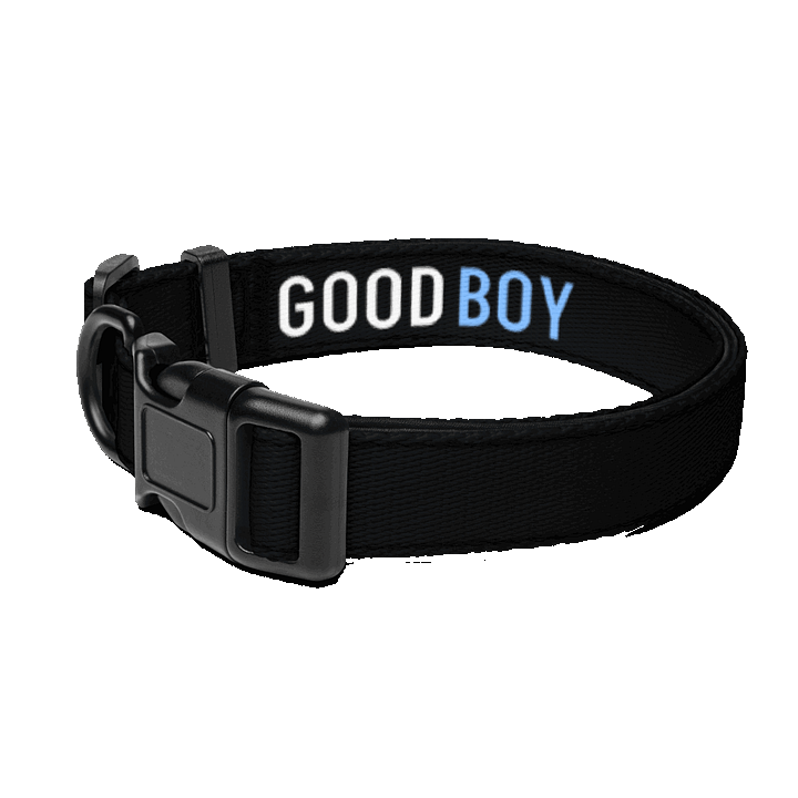 GOOD BOY Collar product image (1)