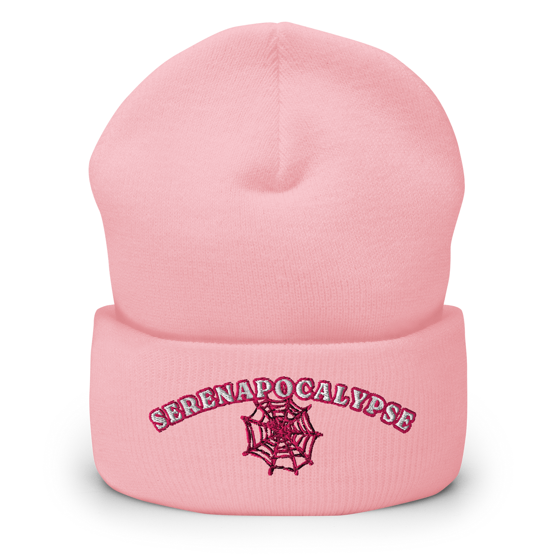 Spiderweb Beanie product image (4)