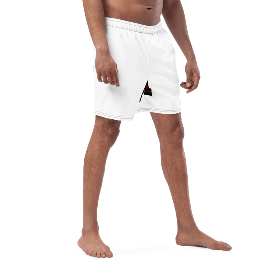 Nr2 swim shorts product image (8)