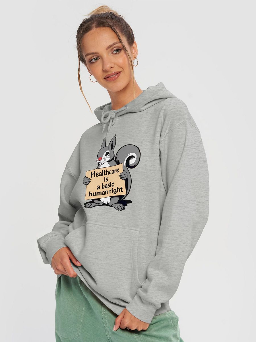 Premium, super soft Hoodie: Healthcare is a basic human right, Pooky with Sign product image (3)