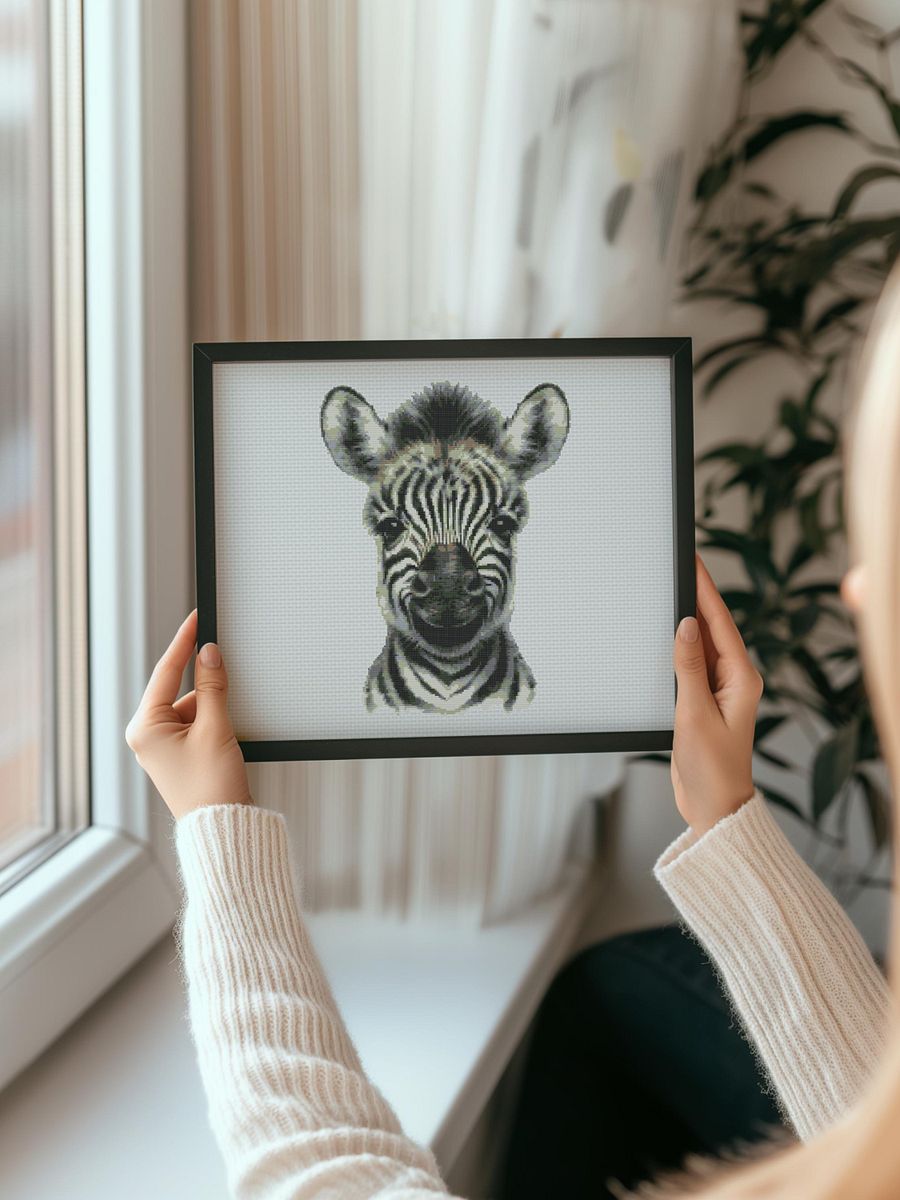 Baby Zebra product image (4)