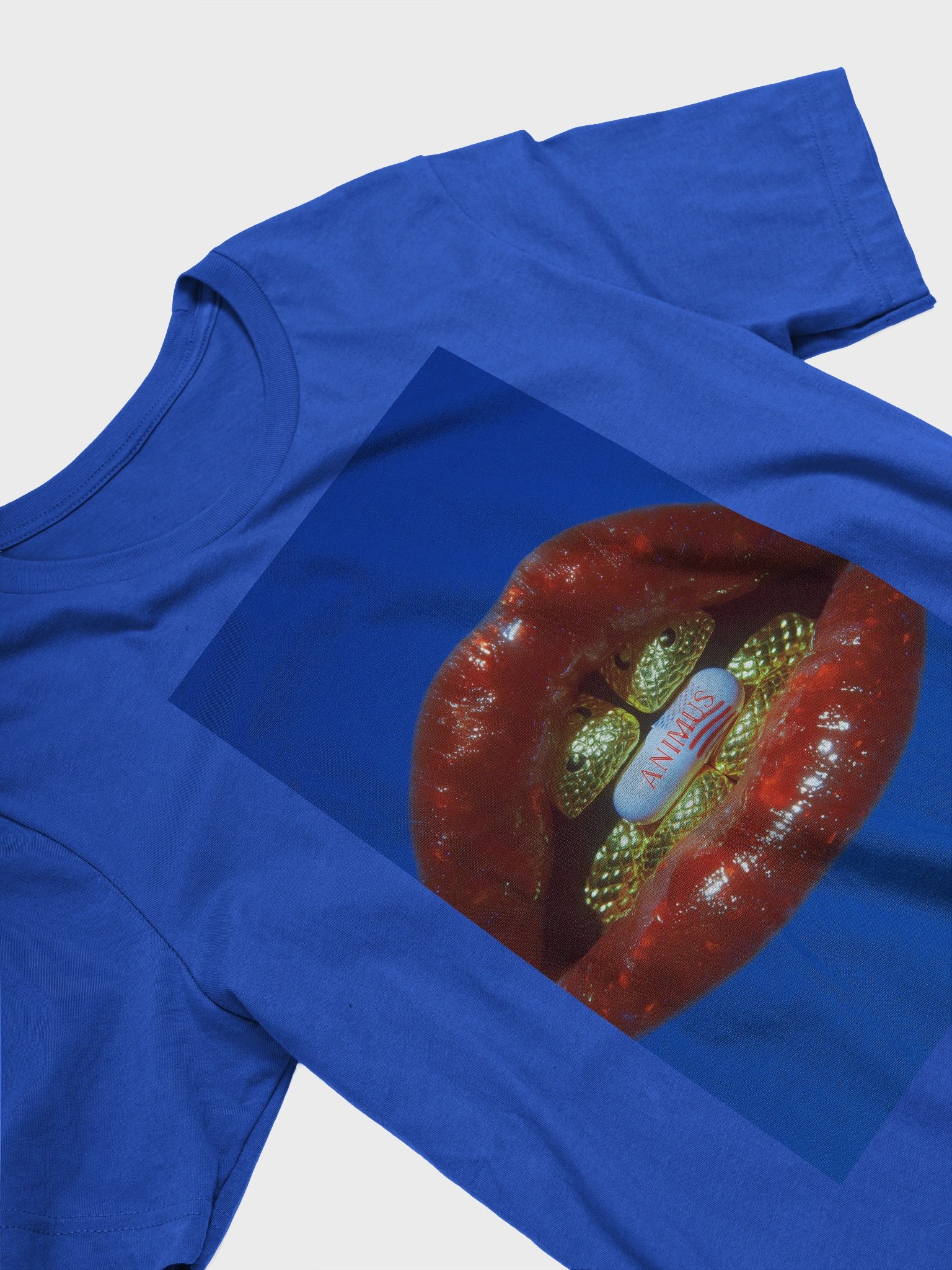 TRUTH - SOFT TSHIRT product image (3)