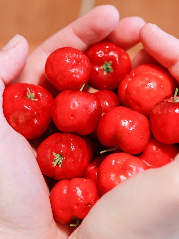 Acérola en Poudre product image (1)