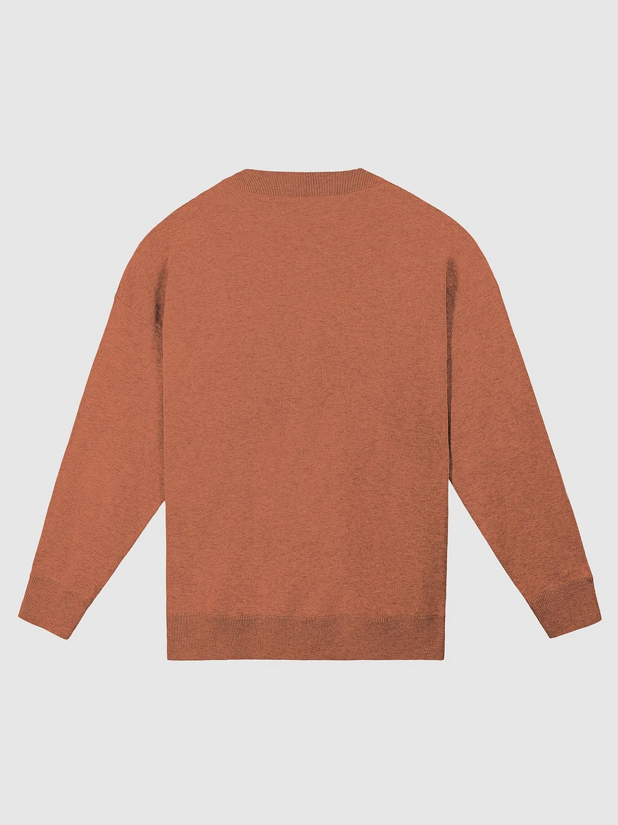 Blue Coyote Relaxed Fit Sweater product image (8)