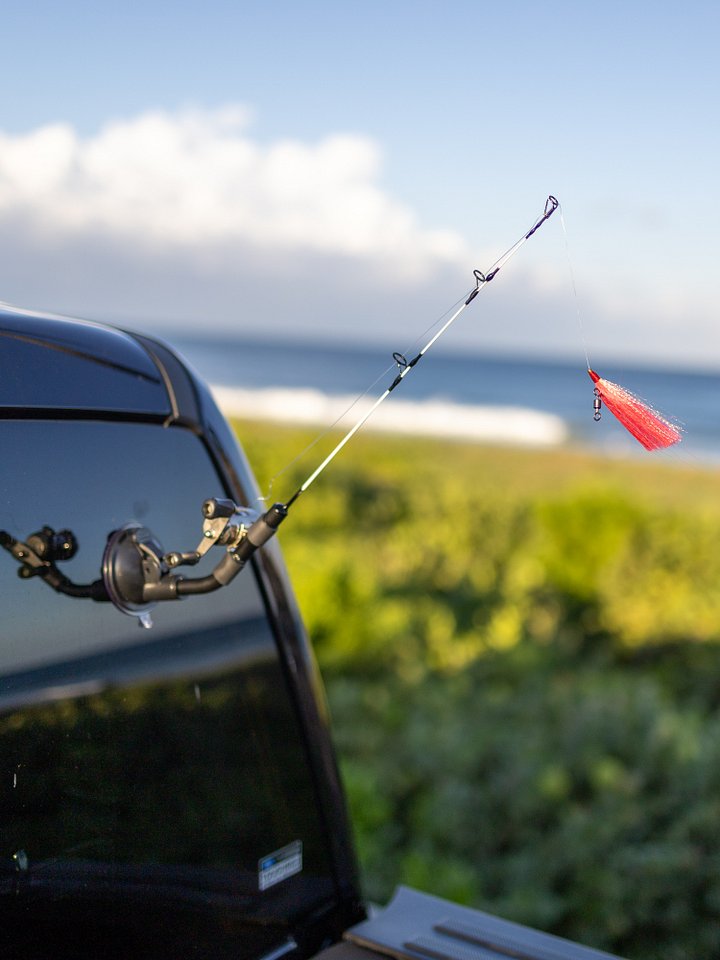 Always Fishing Mini-Rod product image (6)