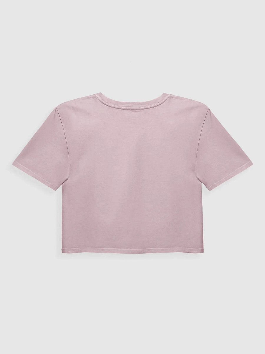 Hit the Bricks Crop Tee product image (27)