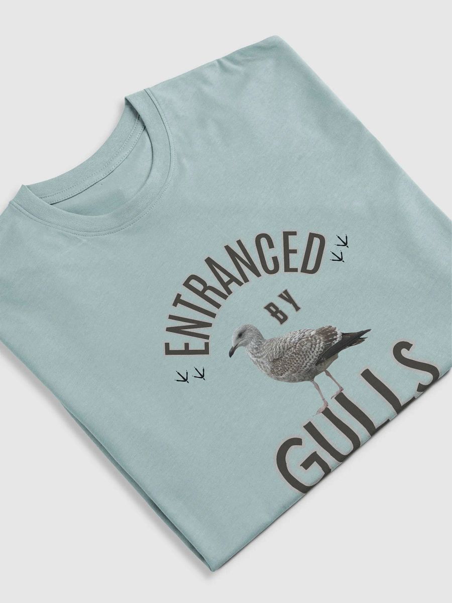 Entranced by Gulls Premium Heavyweight T-shirt product image (23)