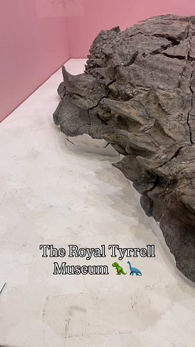 @royaltyrrell 🦕🦖 rawr Dino weekend 🥰 #touchedgrass #andfossils