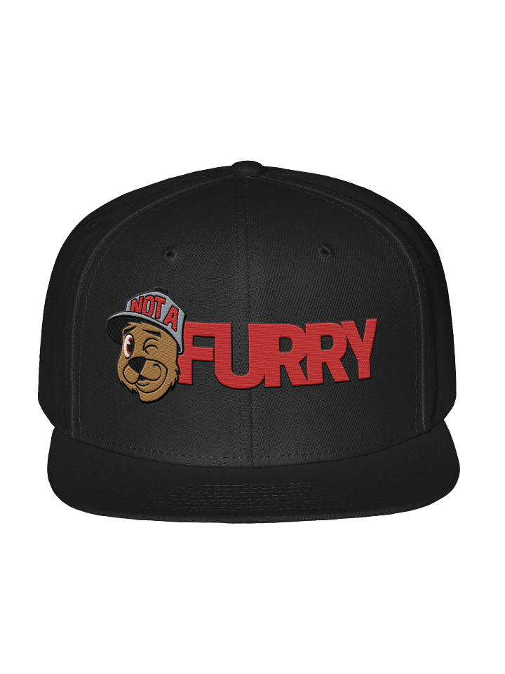 NOT A FURRY (CUTE!) SNAPBACK HAT product image (1)