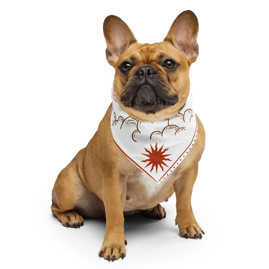 Sun Seeker Bandana product image (4)