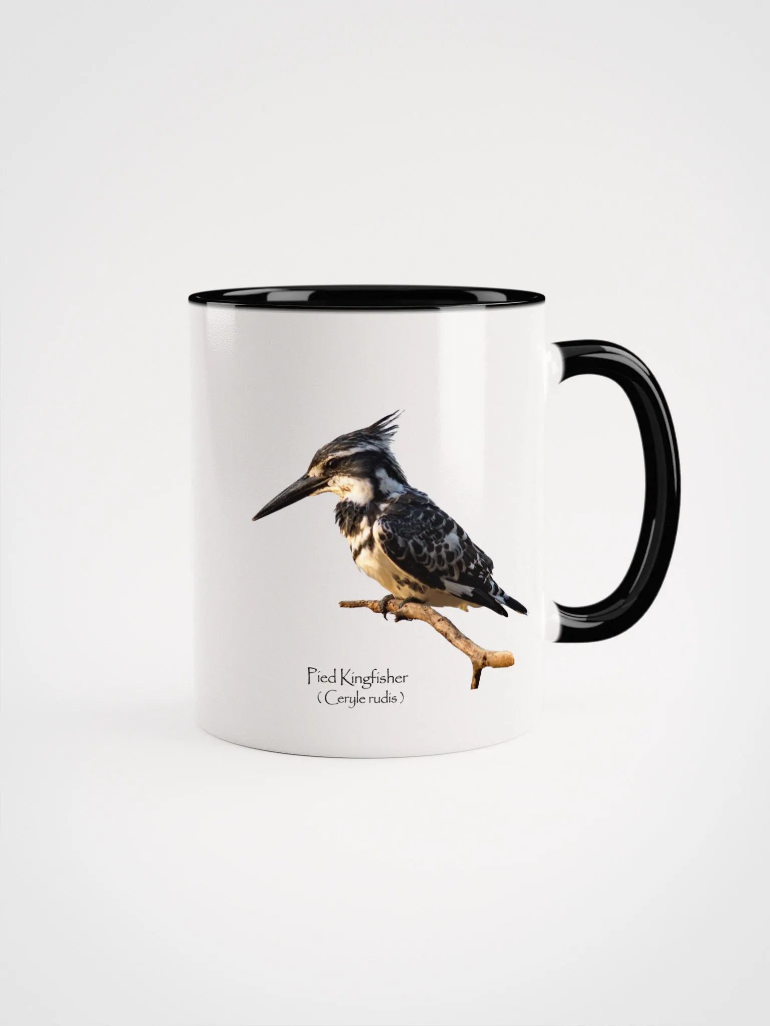Pied Kingfisher mug product image (6)