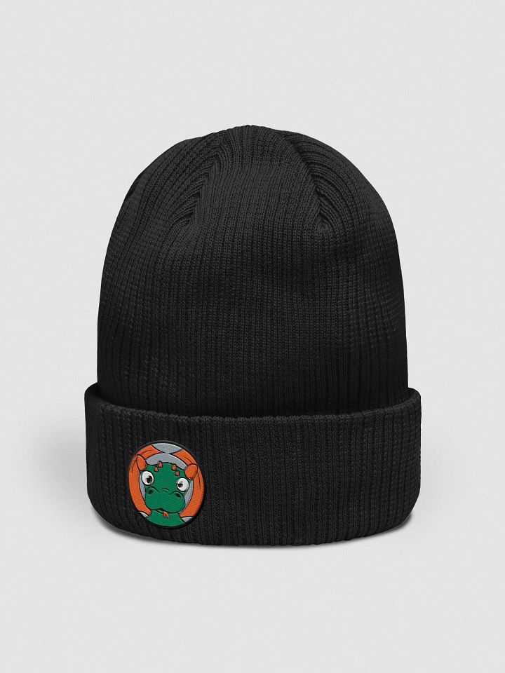 Confused Dragon Organic Cotton Ribbed Beanie product image (2)